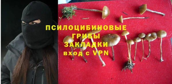 кокс Аркадак