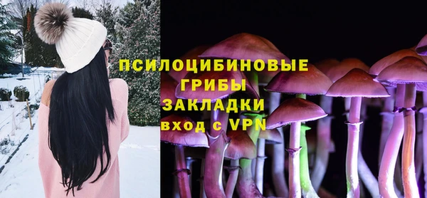 кокс Аркадак