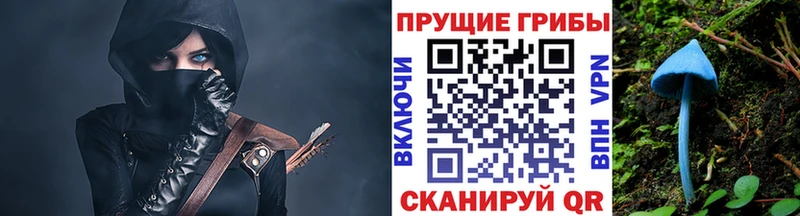 Псилоцибиновые грибы Magic Shrooms  OMG tor  Оленегорск  наркотики 